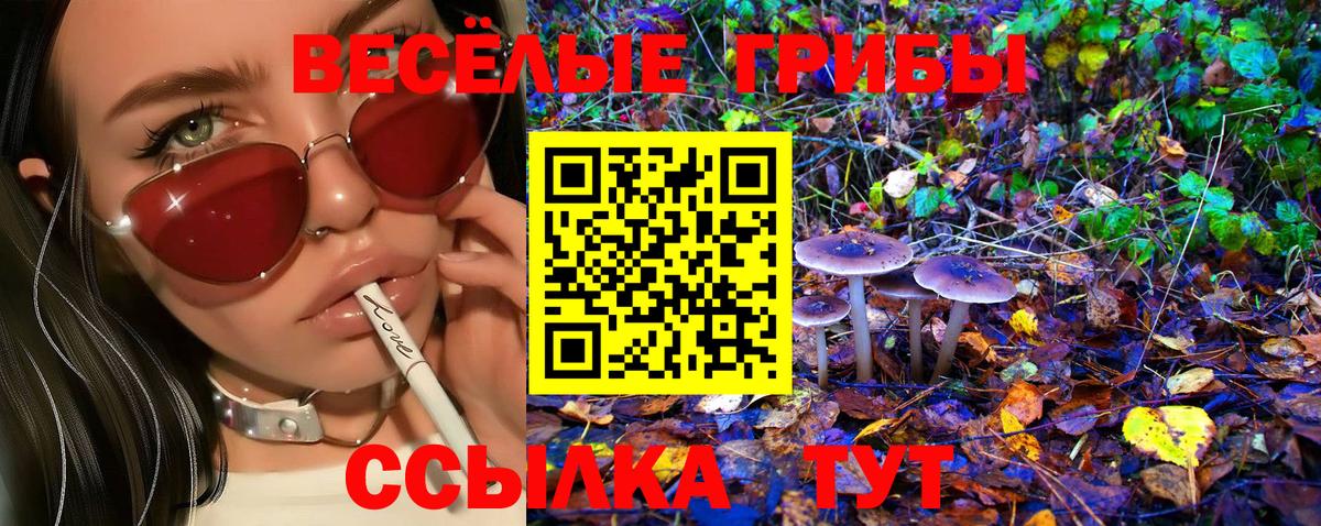 Сергиев Посад  Галлюциногенные грибы Magic Shrooms  Вход с VPN 